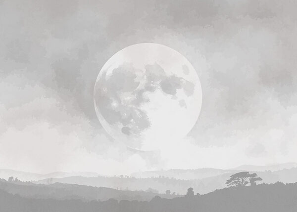 Moon in the sky Moon in the sky