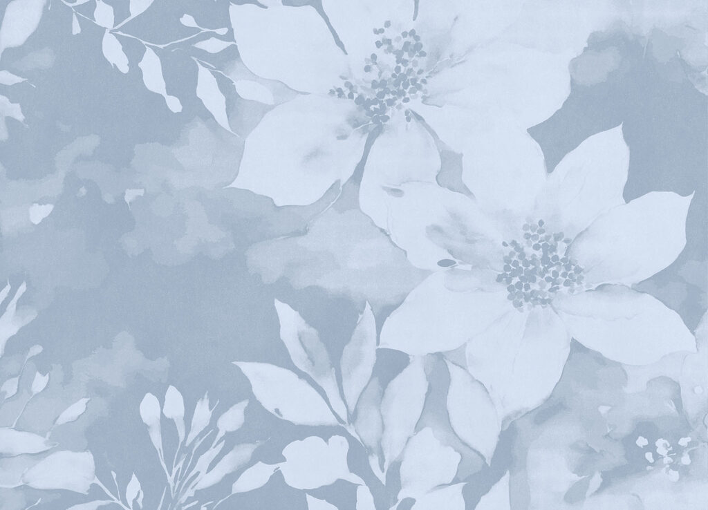 White flowers on a blue background White flowers on a blue background