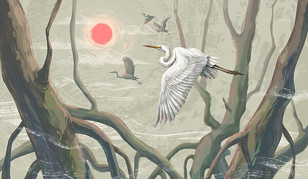 White bird flying in the sky