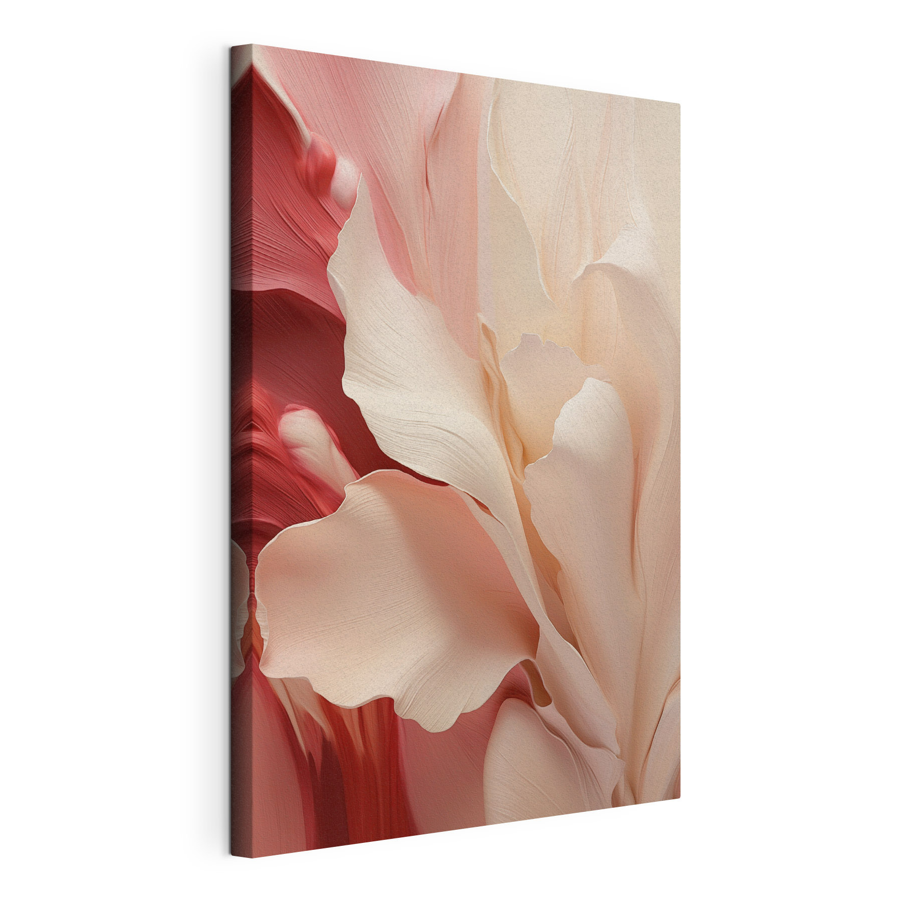 Gentle petals in soft hues