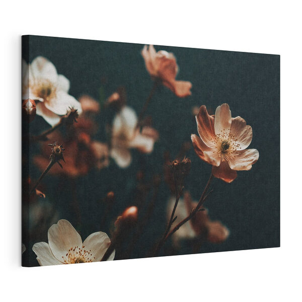 Delicate blooms in soft hues Delicate blooms in soft hues