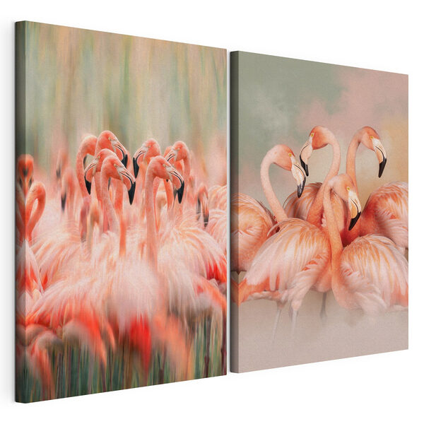 Group of flamingos standing together Group of flamingos standing together