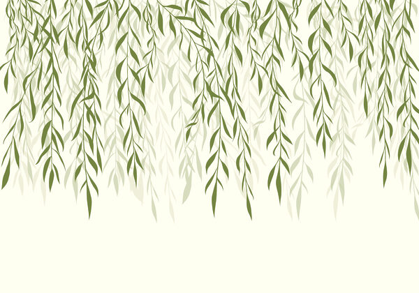 Green leaves from a tree