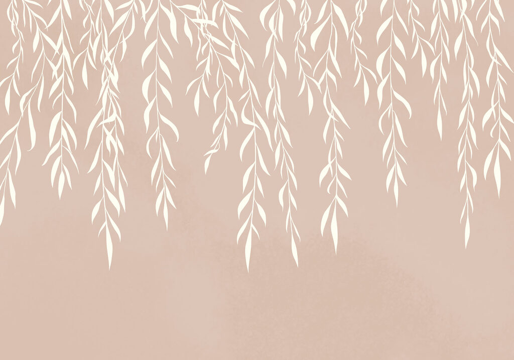 White leaves on a pink background White leaves on a pink background