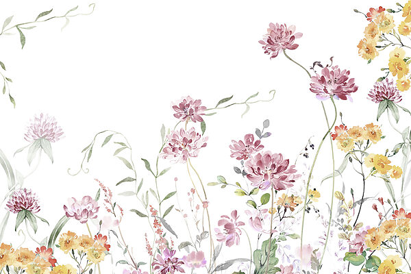 Painting of flowers and leaves Painting of flowers and leaves