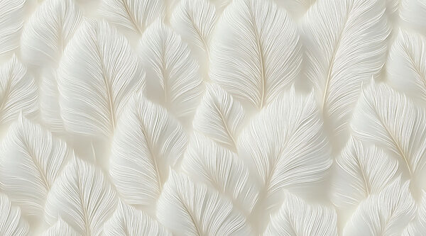 White feather pattern