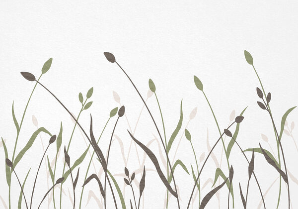 Gentle greens and earthy tones blend Gentle greens and earthy tones blend