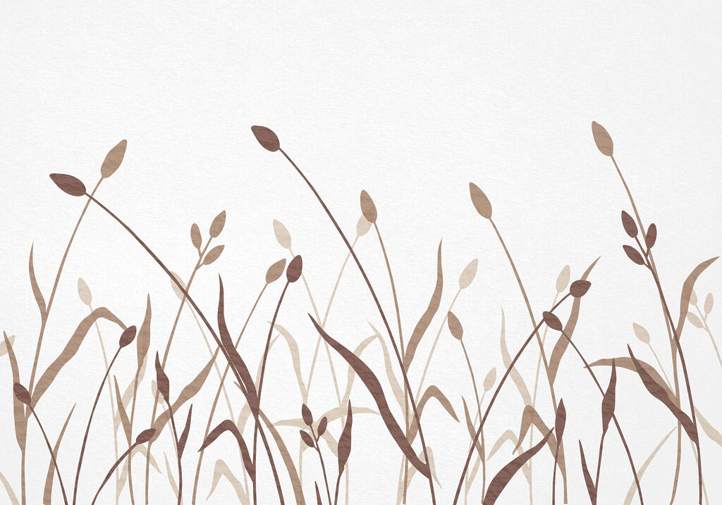 Soft hues of organic beauty Soft hues of organic beauty