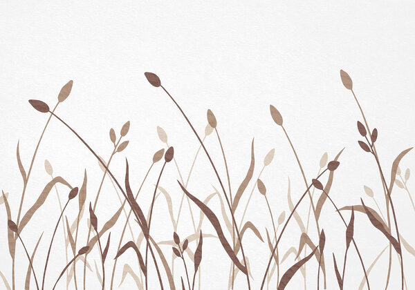 Soft hues of organic beauty Soft hues of organic beauty