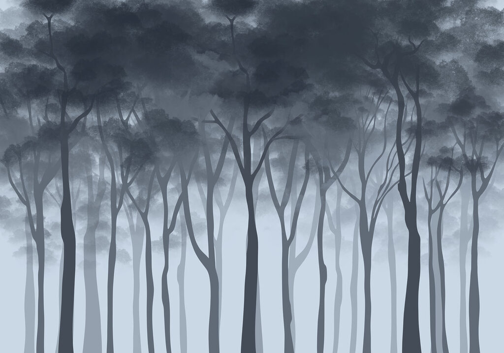 Group of trees in fog Group of trees in fog