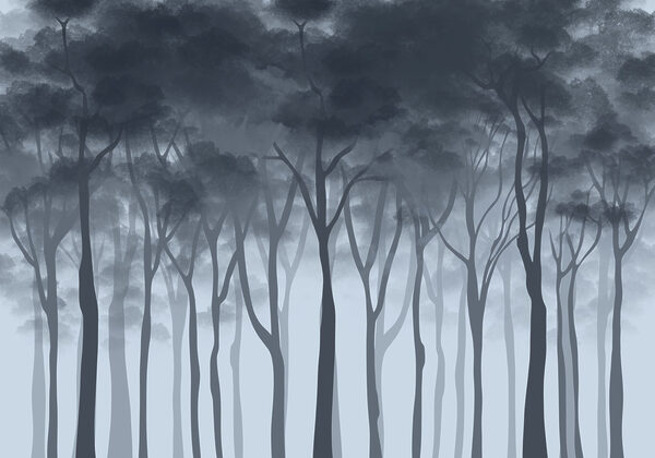 Group of trees in fog Group of trees in fog