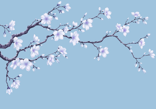 Fototapeten Zweig mit weißen Blüten (Artikelnummer: t01044v1)