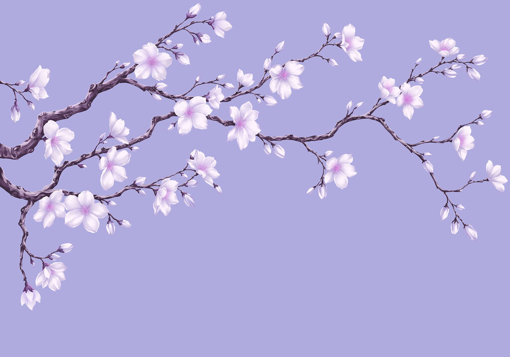 Fototapeten Zweig mit weißen Blüten (Artikelnummer: t01044v2) Fototapeten Zweig mit weißen Blüten (Artikelnummer: t01044v2)