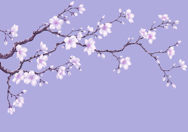 Fototapeten Zweig mit weißen Blüten (Artikelnummer: t01044v2) Fototapeten Zweig mit weißen Blüten (Artikelnummer: t01044v2)