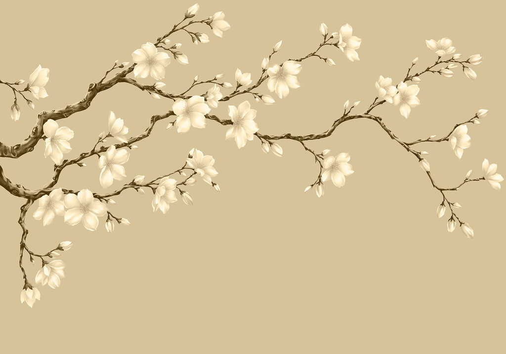 Fototapeten Zweig mit weißen Blüten (Artikelnummer: t01044v3)