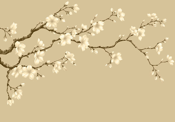 Fototapeten Zweig mit weißen Blüten (Artikelnummer: t01044v3)