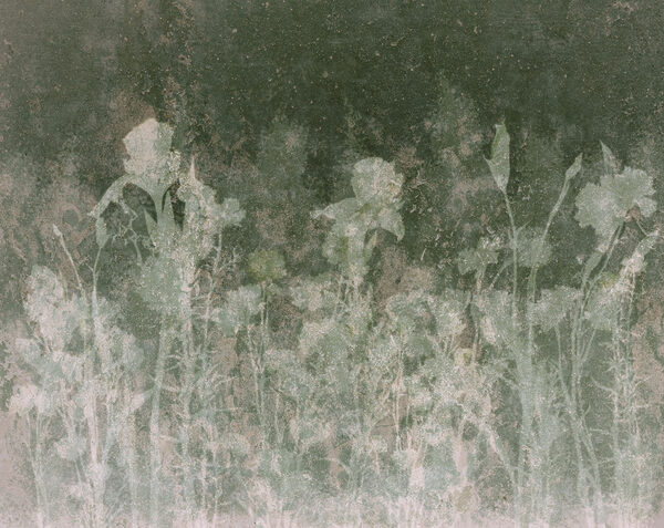 Fototapeten Verblasste Blumen in sanften Grüntönen (Artikelnummer: t01116v3)